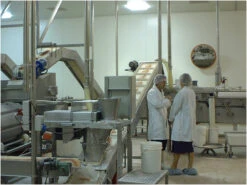 Convex 600mm Diameter - Stainless Steel Food Hygiene Mirror -Home Security Anti-Theft Supplies Store 106037