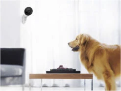 Imou Cue 2 - HD1080p Indoor Wi-Fi Camera -Home Security Anti-Theft Supplies Store 109725