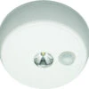 Bulldog BD14 LED Ceiling Light