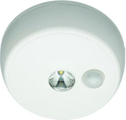 Bulldog BD14 LED Ceiling Light