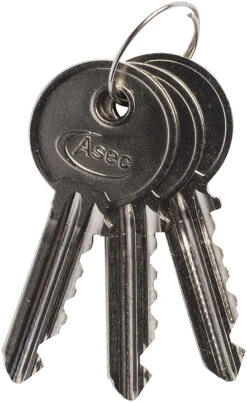 Asec 5 Pin Euro Cylinder - Keyed Alike Pack -Home Security Anti-Theft Supplies Store PP 116943